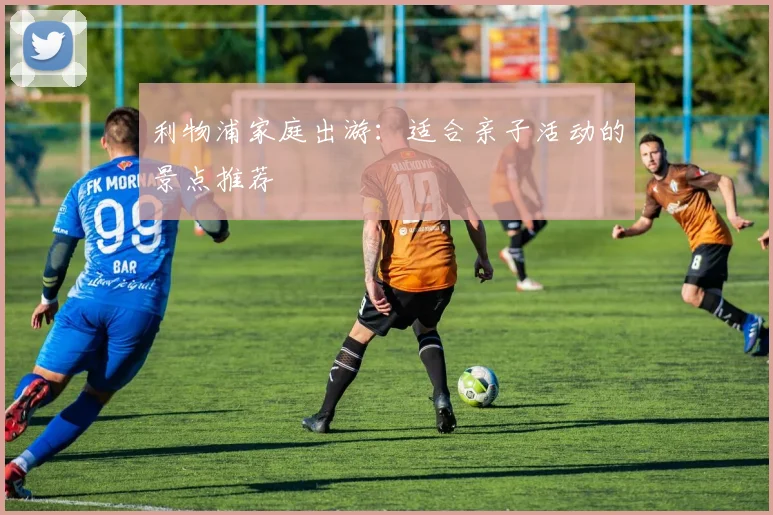 利物浦家庭出游：适合亲子活动的景点推荐