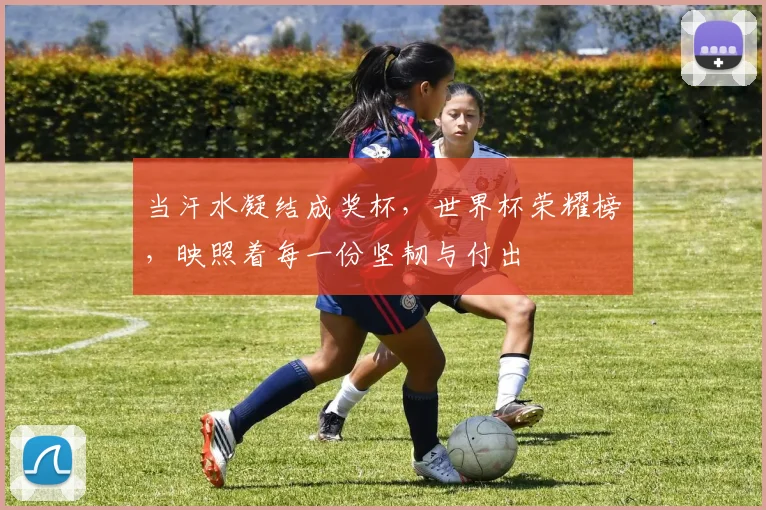 当汗水凝结成奖杯，世界杯荣耀榜，映照着每一份坚韧与付出